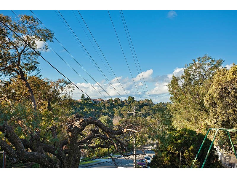 77 Darley Road, Bardwell Park NSW 2207