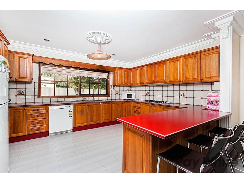 6 Baringa Road, Earlwood NSW 2206