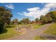 48 Wallace Street, Bexley NSW 2207