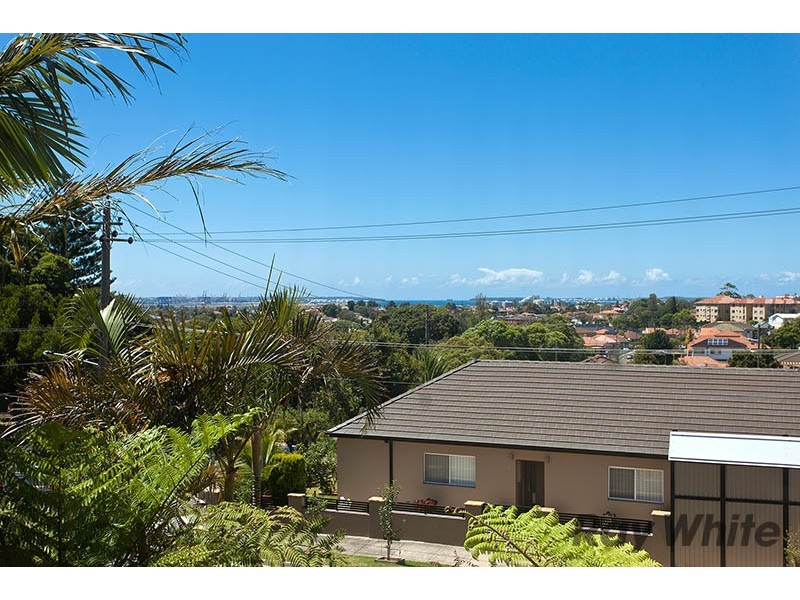 3 Oswell Street, Rockdale NSW 2216