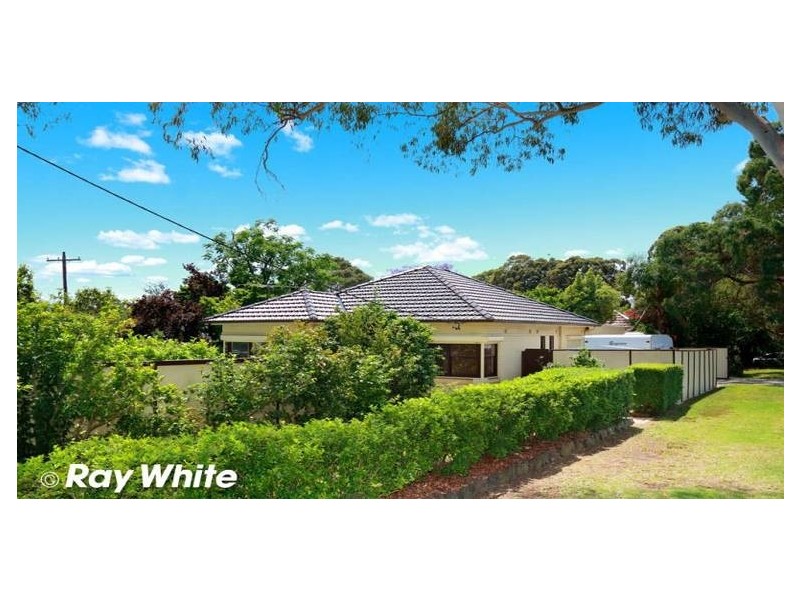 50 Kingsway, Kingsgrove NSW 2208