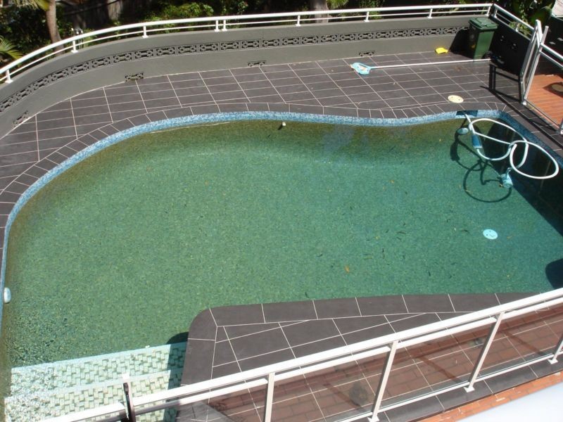 4 Maple Street, Lugarno NSW 2210