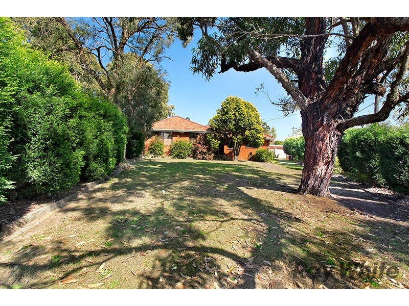 63 Morgan Street, Kingsgrove NSW 2208