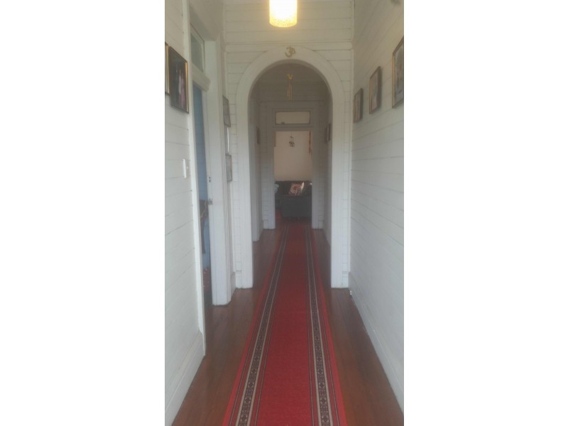 113 Willison Road, Carlton NSW 2218