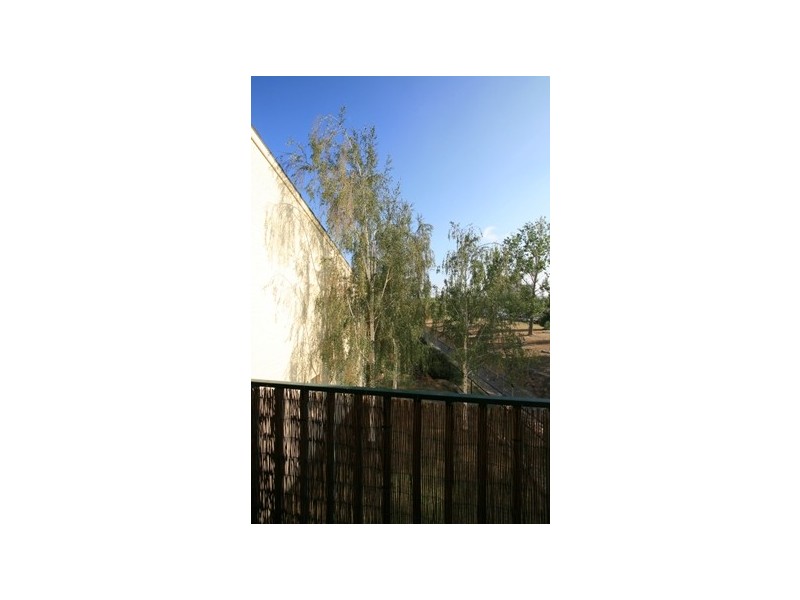 12 Albermarle St, Phillip ACT 2606