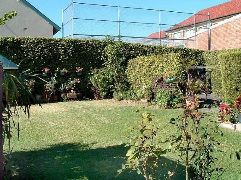 37 Alt Street, Ashfield NSW 2131