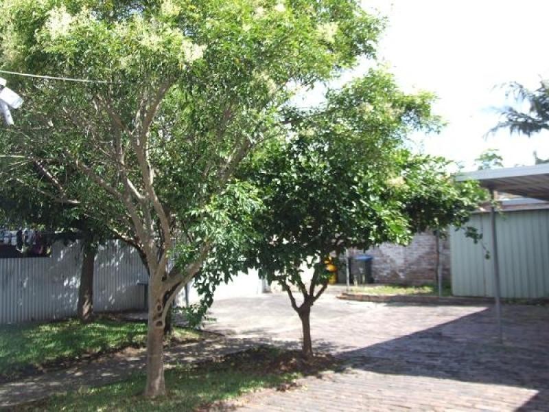 26 Redmond Street, Leichhardt NSW 2040