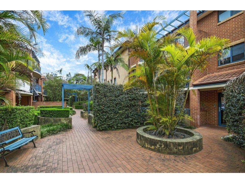 50/106 Elizabeth Street, Ashfield NSW 2131