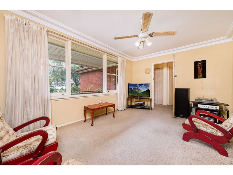 33 Wearne Street, Canterbury NSW 2193