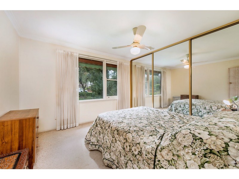 33 Wearne Street, Canterbury NSW 2193