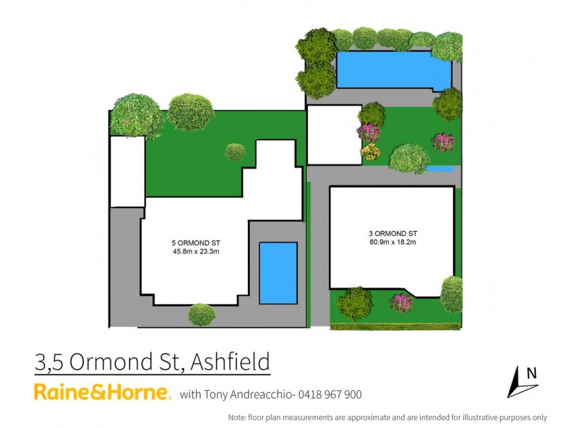 3-5 Ormond St, Ashfield NSW 2131 Floorplan