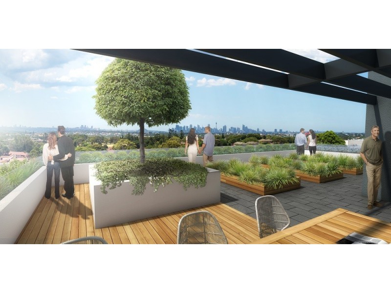 8 Murrell Street, Ashfield NSW 2131