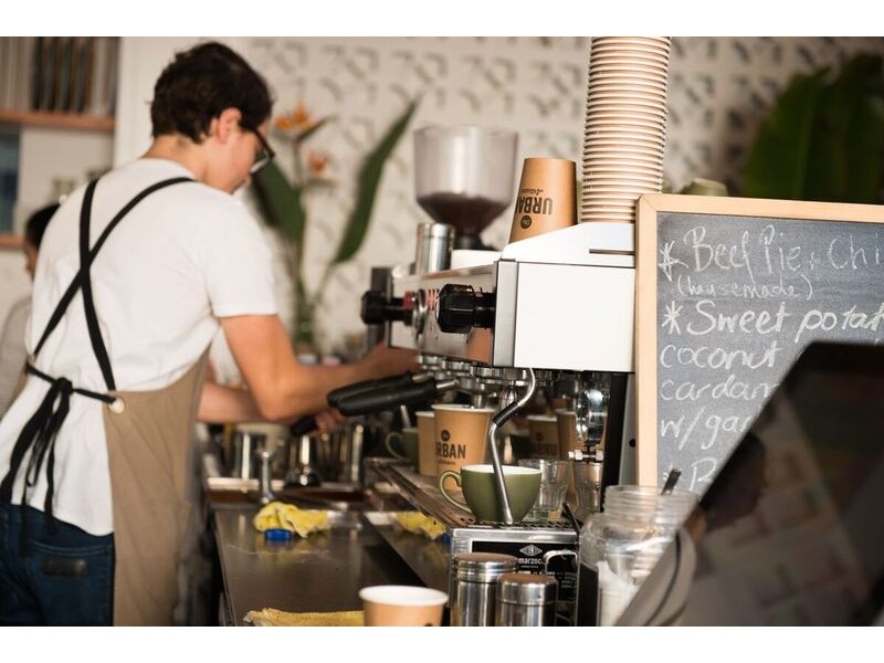 33 Ormond Street, Ashfield NSW 2131