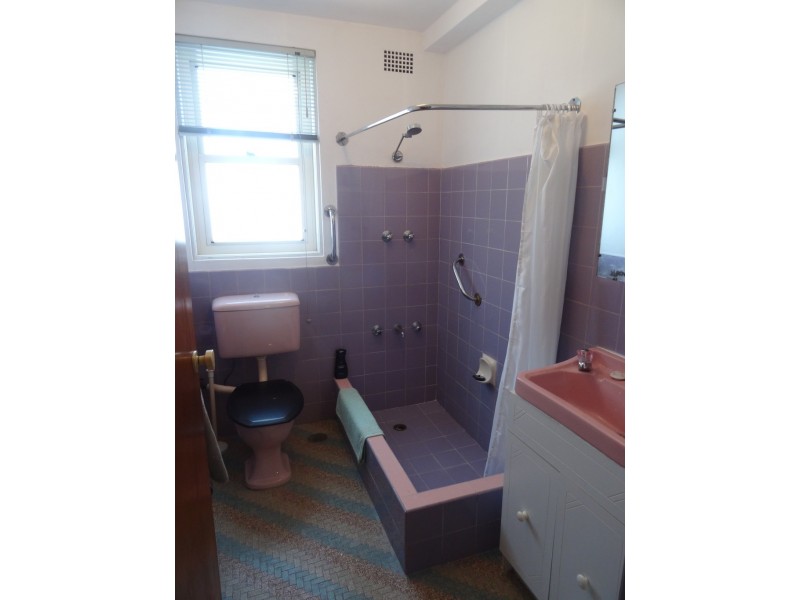 1/1 Blackwood Avenue, Ashfield NSW 2131