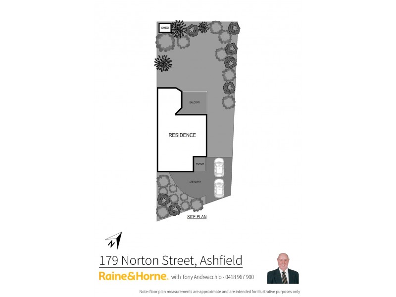179 Norton Street, Ashfield NSW 2131