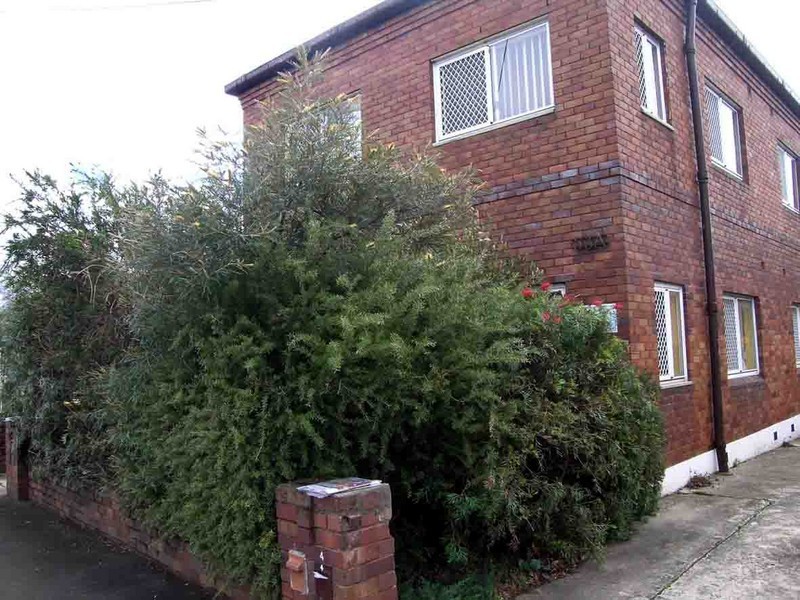 53 Thomas Street, Croydon NSW 2132