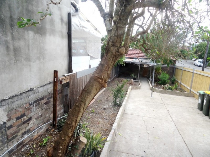 2 Grove Street, Dulwich Hill NSW 2203