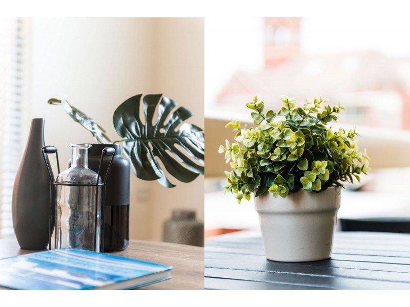 4/6 Church Street, Ashfield NSW 2131