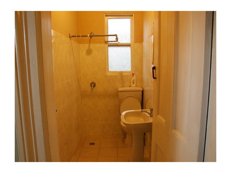 20 Henson Street, Summer Hill NSW 2130