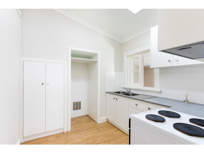 19 Crane Street, Concord NSW 2137