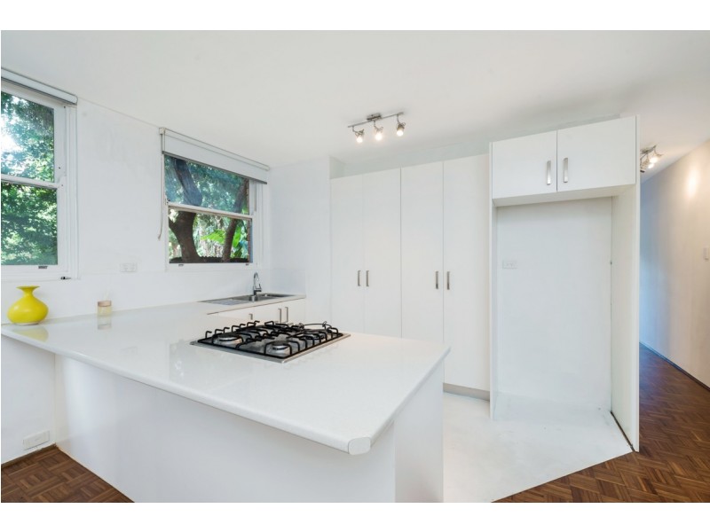 1/25 Orpington Street, Ashfield NSW 2131