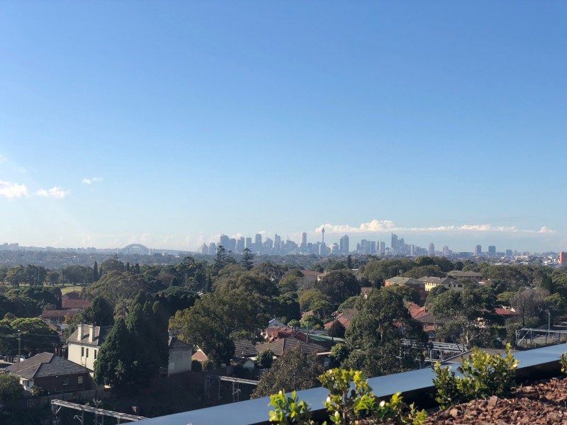 401/8 Murrell Street, Ashfield NSW 2131