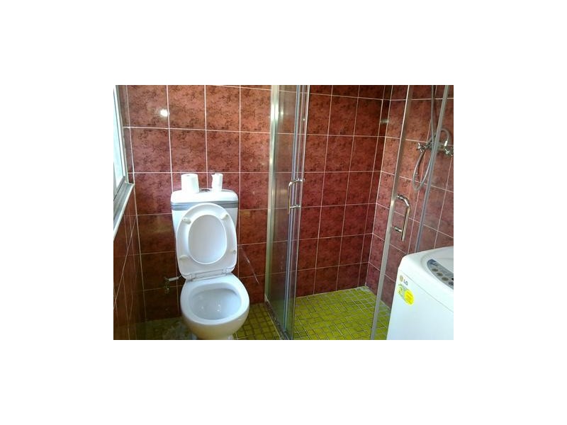 56 Charlotte st, Ashfield NSW 2131