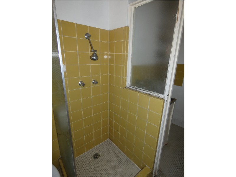 115 Alt Street, Ashfield NSW 2131