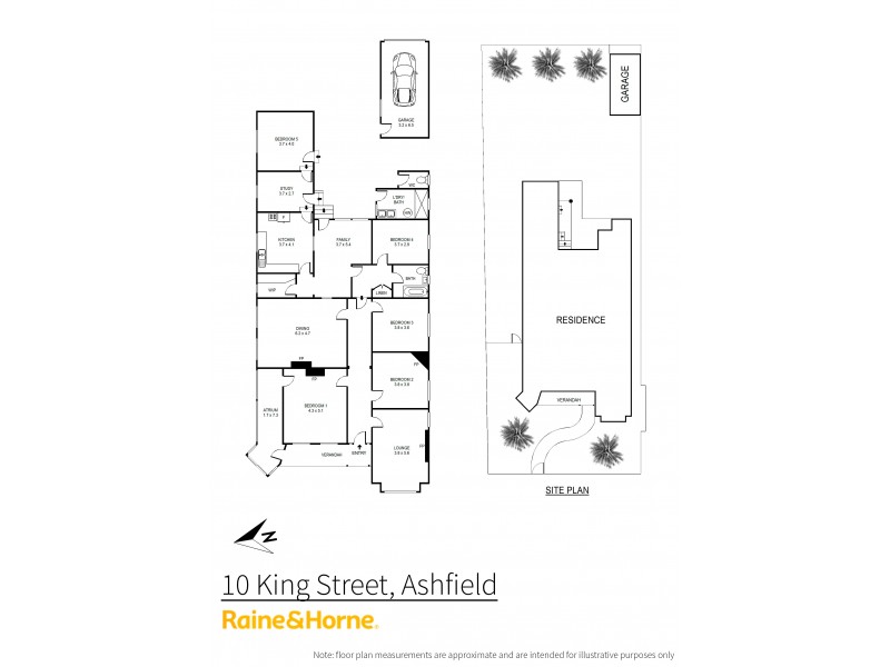 10 King Street, Ashfield NSW 2131
