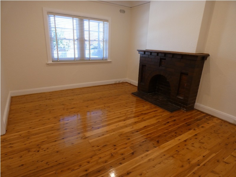 17 Burns Street, Croydon NSW 2132