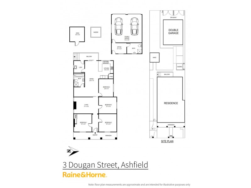 3 Dougan St, Ashfield NSW 2131 Floorplan