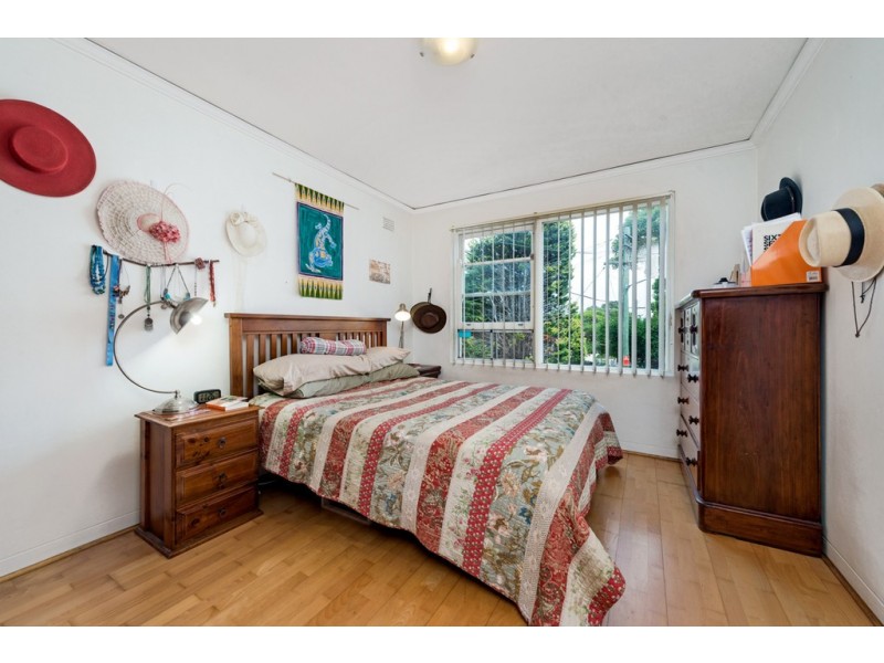 3/14 The Avenue, Ashfield NSW 2131