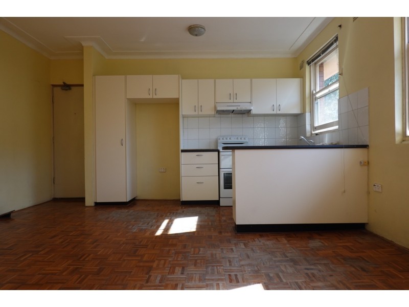 19 Etonville Parade, Croydon NSW 2132