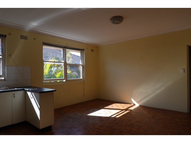 19 Etonville Parade, Croydon NSW 2132