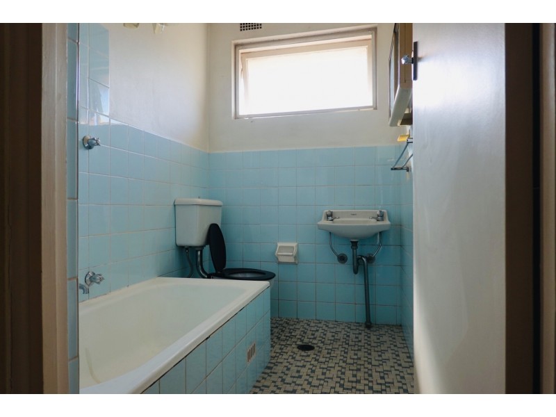 19 Etonville Parade, Croydon NSW 2132