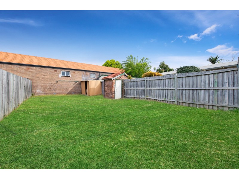 5 Cowper Street, Campsie NSW 2194