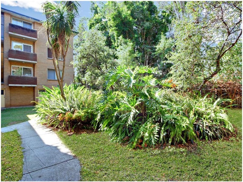 5/105  Alt Street, Ashfield NSW 2131