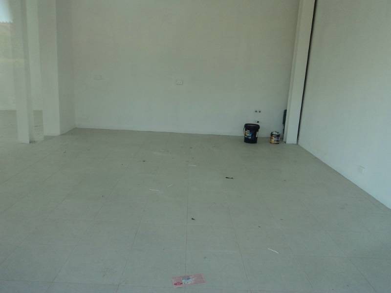 139C Queen Street, Ashfield NSW 2131