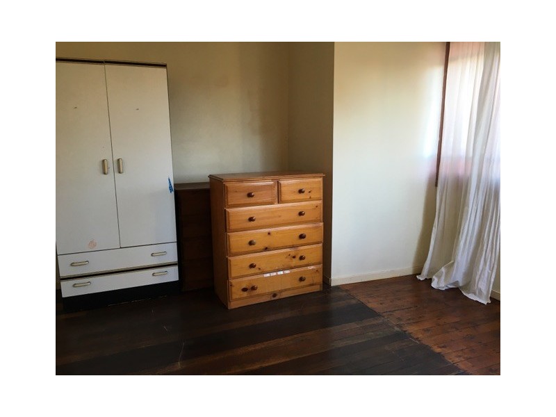 3/66 Palace Street, Ashfield NSW 2131
