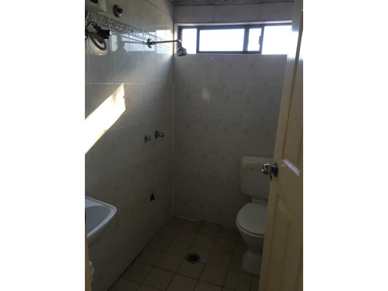 3/66 Palace Street, Ashfield NSW 2131