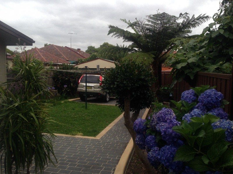 46 Carlisle st, Ashfield NSW 2131