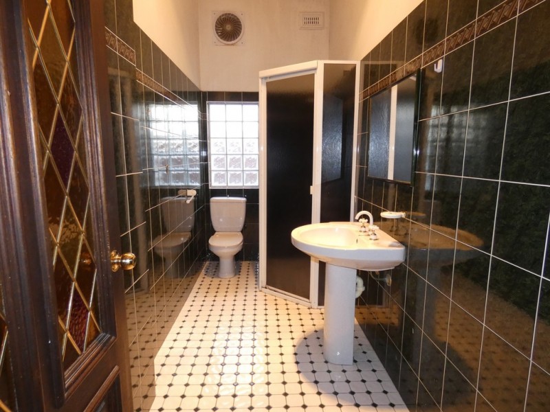 3 Robert Street, Ashfield NSW 2131