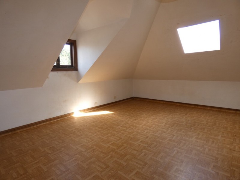 3 Robert Street, Ashfield NSW 2131