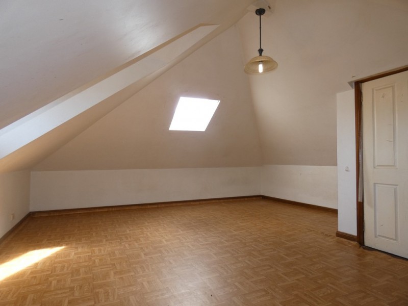 3 Robert Street, Ashfield NSW 2131