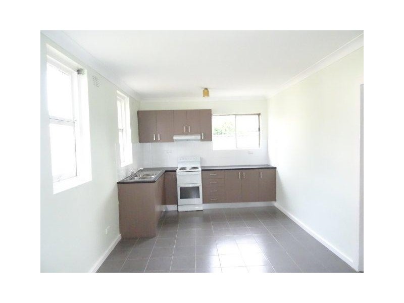 19 Earle Avenue, Ashfield NSW 2131