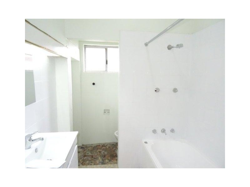 19 Earle Avenue, Ashfield NSW 2131