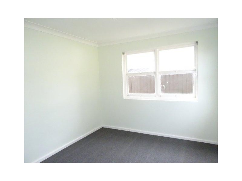 19 Earle Avenue, Ashfield NSW 2131