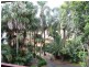 15/92-96 Milton Street, Ashfield NSW 2131