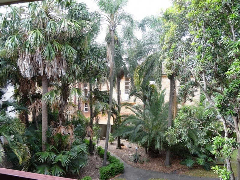 15/92-96 Milton Street, Ashfield NSW 2131