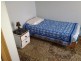 4 Taringa Street Ashfield, Ashfield NSW 2131